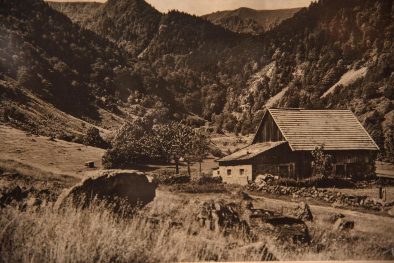 Hotel Deybach Munster  Exterior photo